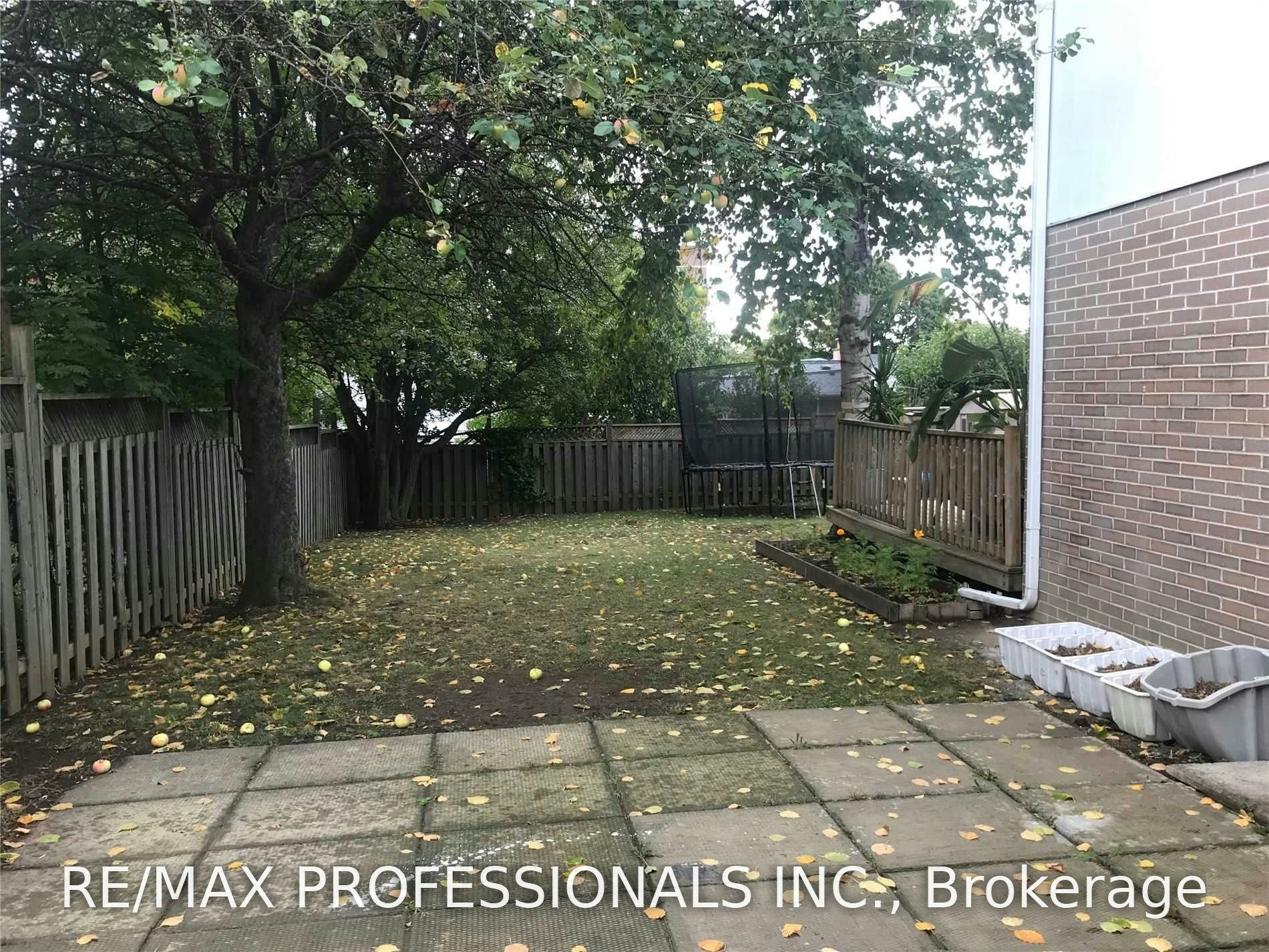 Bsmt-1582 Otterby Road, Mississauga, ON, L4X 1W7 - 18