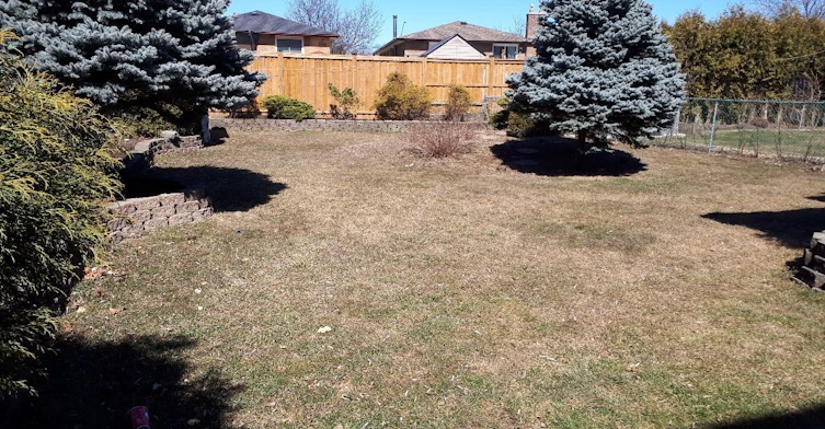 Main/ Lower-401 Mississauga Valley Boulevard, Mississauga, ON, L5A 1Y9 - 20
