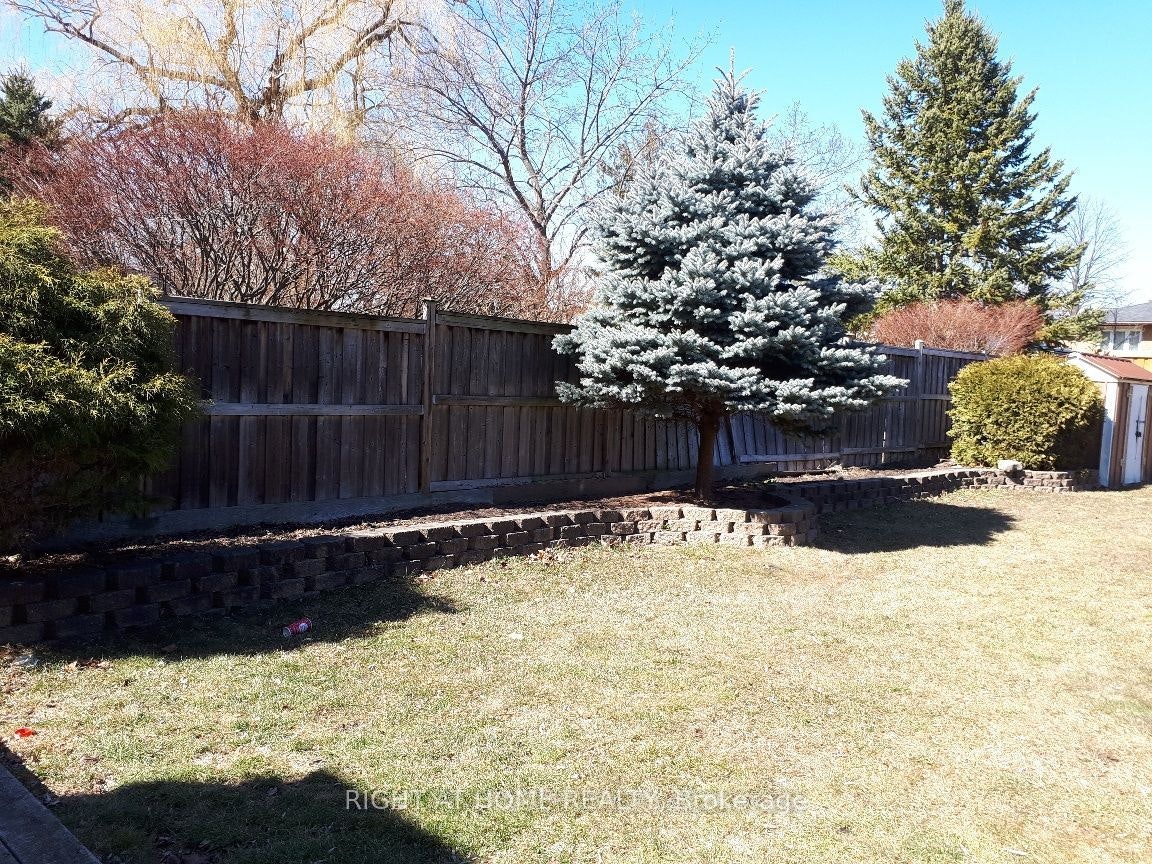 Main/ Lower-401 Mississauga Valley Boulevard, Mississauga, ON, L5A 1Y9 - 21