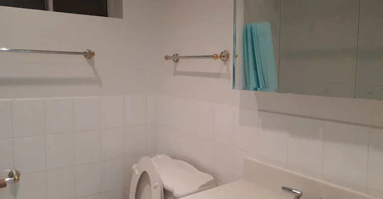 Main/ Lower-401 Mississauga Valley Boulevard, Mississauga, ON, L5A 1Y9 - 7