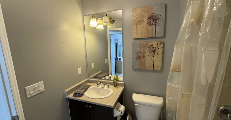 140 Duncan Lane, Milton, ON, L9T 3X3 - 27