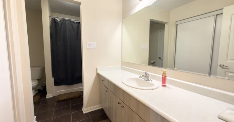 288 Ruhl Drive, Milton, ON, L9T 8J7 - 11