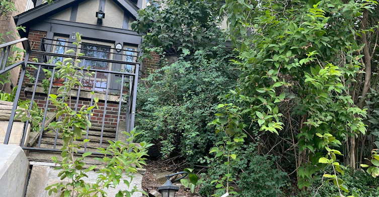 25 Halford Avenue, Toronto, ON, M6S 4G1 - 2