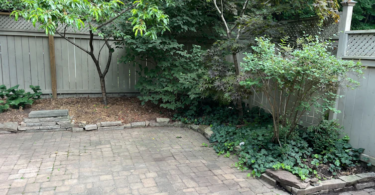 25 Halford Avenue, Toronto, ON, M6S 4G1 - 16