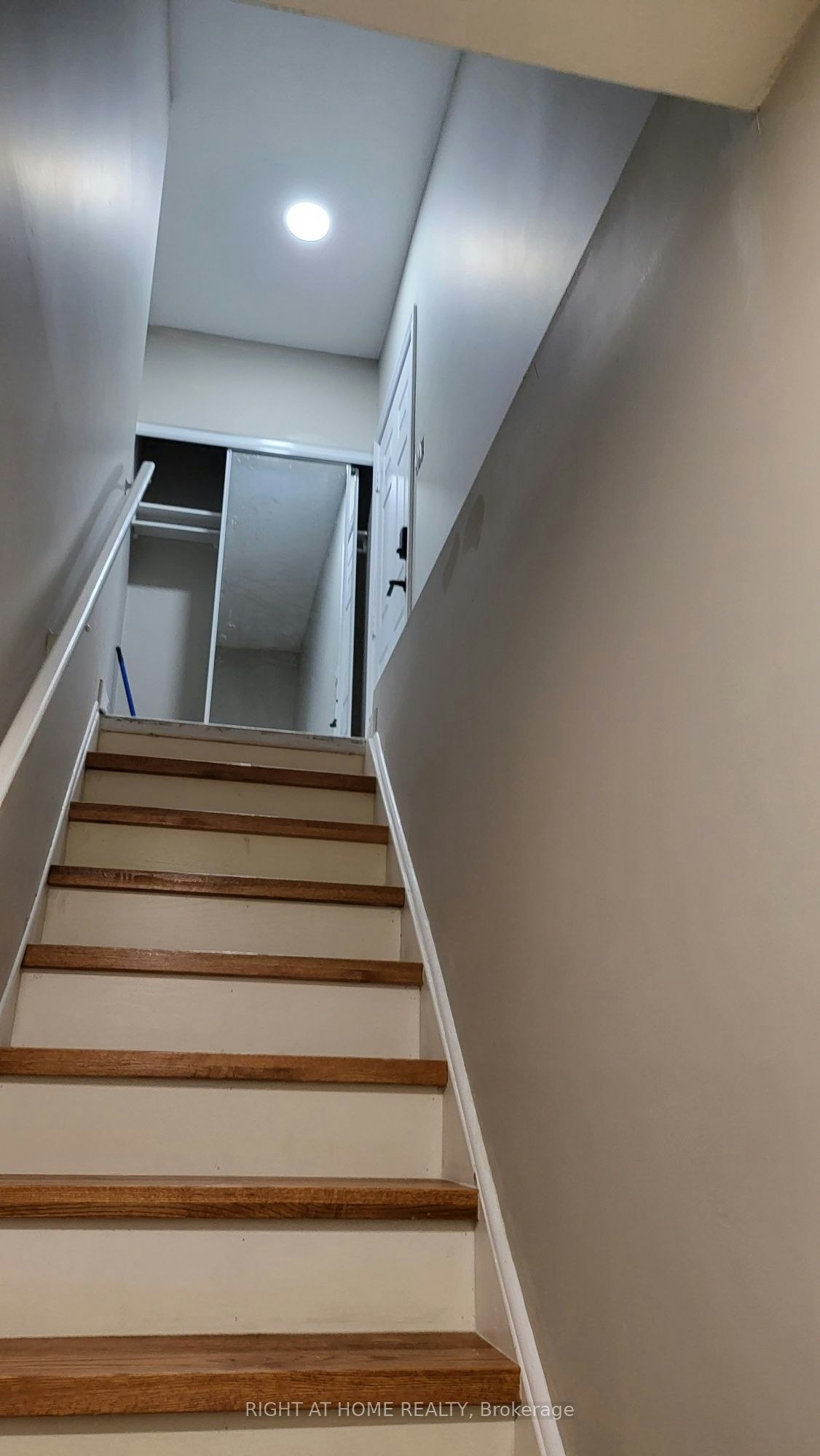Lower-5402 Fasdon Court, Mississauga, ON, L5V 1Y8 - 2