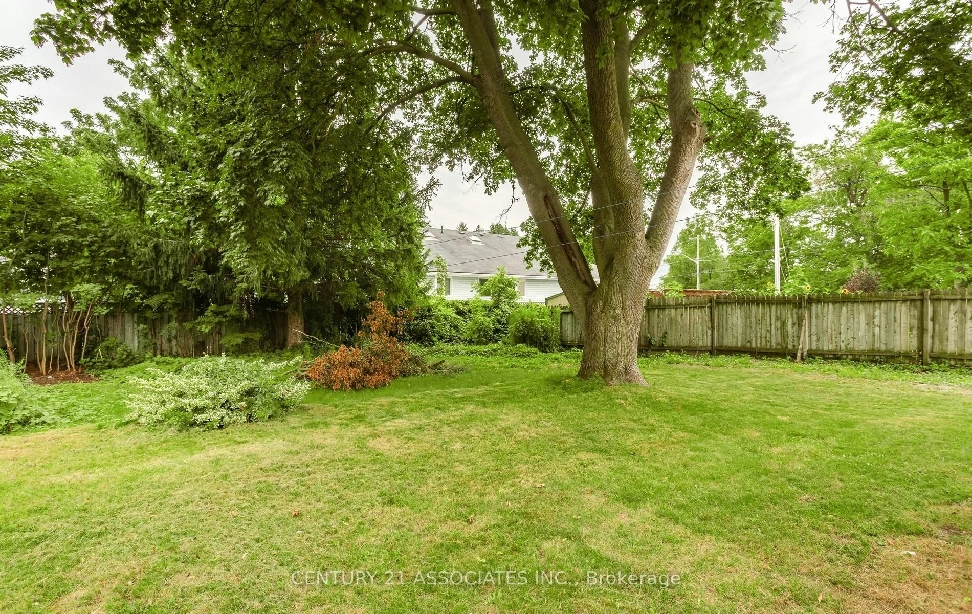 48 King Street, Halton Hills, ON, L7G 2G4 - 43