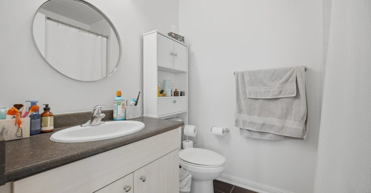 254 Septimus Heights, Milton, ON, L9T 8N6 - 34