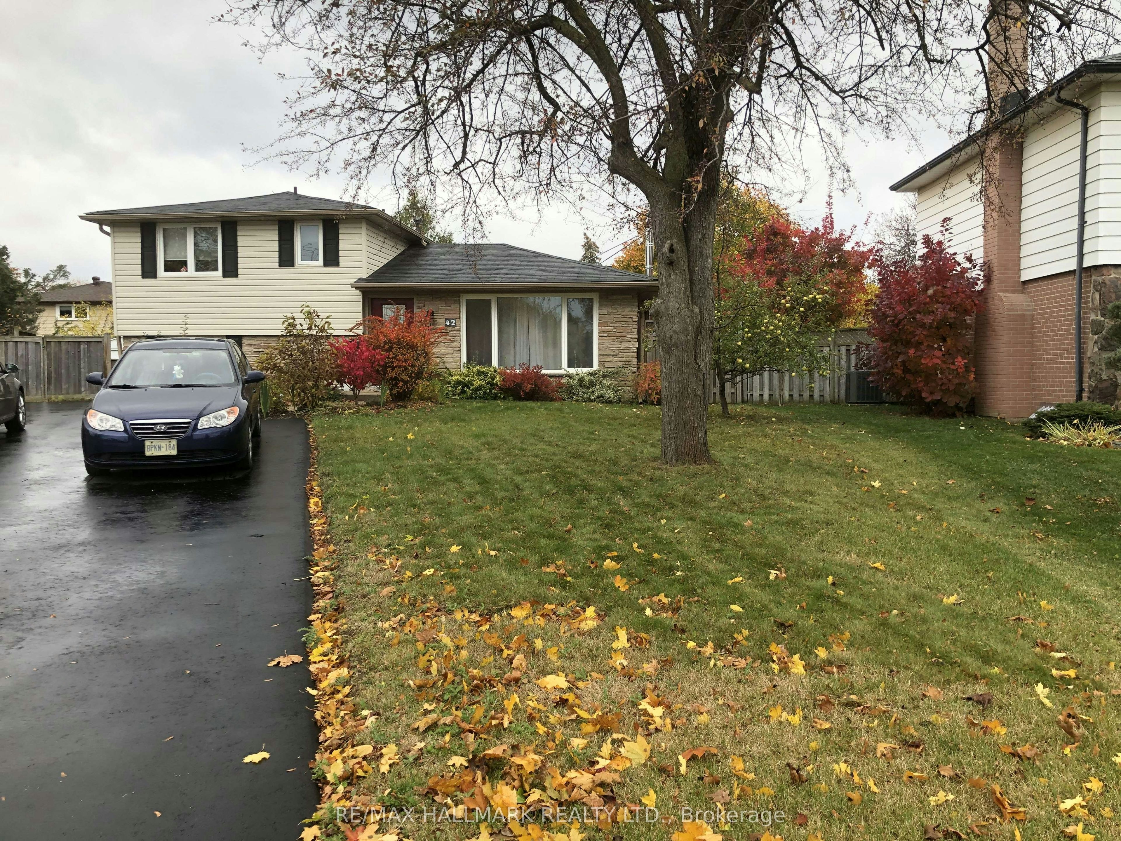 Main Floor-42 Abbey Road, Brampton, ON, L6W 2T8