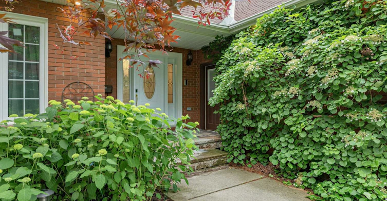 1415 Avonbridge Drive, Mississauga, ON, L5G 3G6 - 2