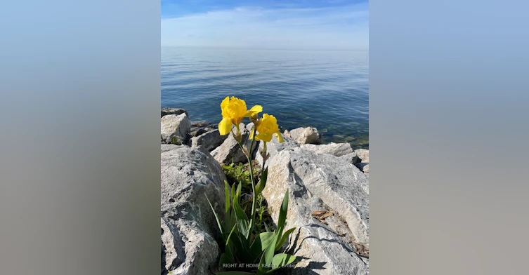 105-2 Royal York Road, Toronto, ON, M8V 2S6 - 35