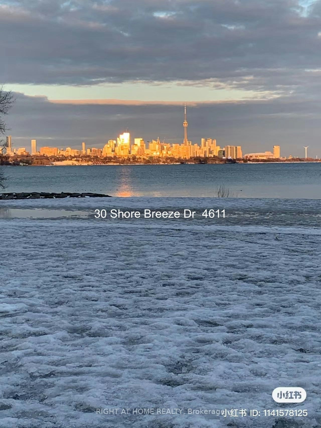 4611-30 Shore Breeze Drive, Toronto, ON, M8V 0J1 - 23