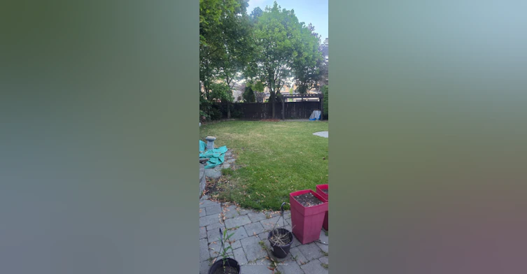 57 River Rock Crescent, Brampton, ON, L7A 2W9 - 25