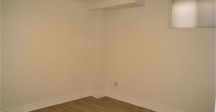 Basement-4757 Glasshill Grove, Mississauga, ON, L5M 7R5 - 4