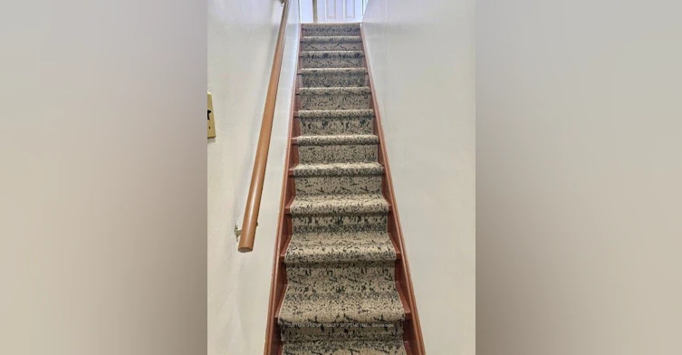 Bsmt-4670 Antelope Crescent, Mississauga, ON, L4Z 2X1 - 14