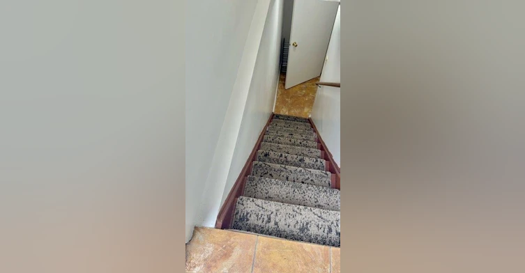 Bsmt-4670 Antelope Crescent, Mississauga, ON, L4Z 2X1 - 13