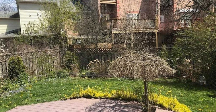 1538 Cuthbert Avenue, Mississauga, ON, L5M 3R5 - 22