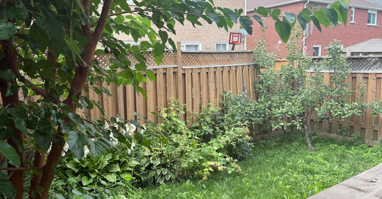 55 Sunley Crescent, Brampton, ON, L6Y 5B8 - 25