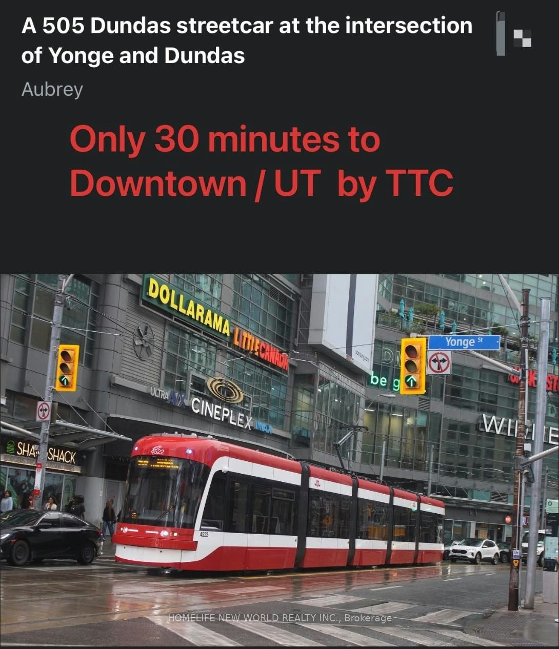 102-1 Vine Avenue, Toronto, ON, M6P 0C8 - 14