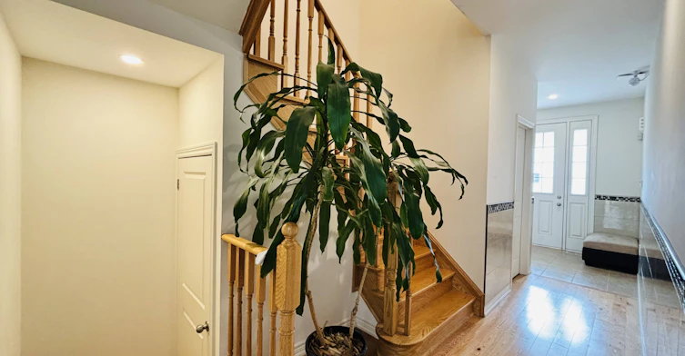 12 Rangemore Road, Brampton, ON, L7A 4V8 - 3