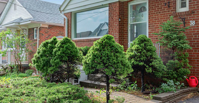 38 Ypres Road, Toronto, ON, M6M 1N9 - 2