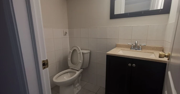 Basement-288 Maple Leaf Drive, Toronto, ON, M6L 1P3 - 9