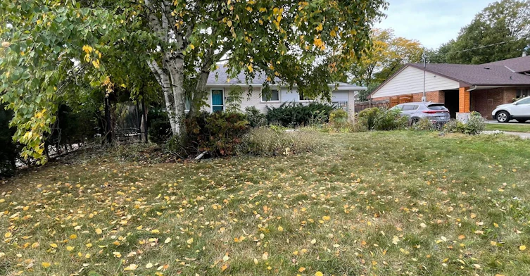 16 Plainsman Road, Mississauga, ON, L5N 1C5 - 2
