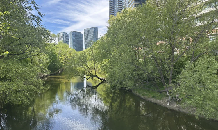 TH01-2212 Lake Shore Boulevard W