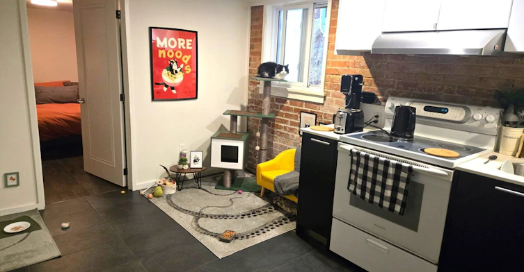 Lower Level-202 Hallam Street, Toronto, ON, M6H 1X7 - 3