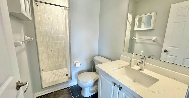 223 Prosser Circle, Milton, ON, L9T 0P6 - 26
