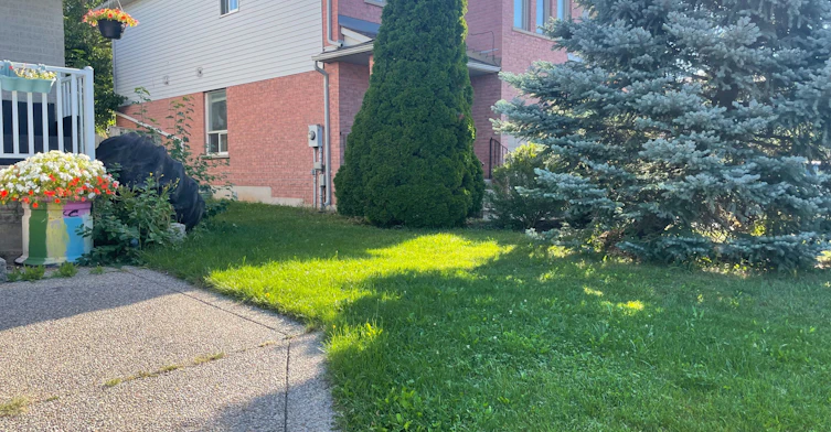 455 Levanna Lane, Oakville, ON, L6H 6B9 - 3