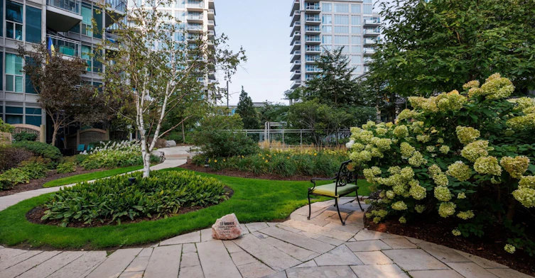 217-2119 Lake Shore Boulevard W, Toronto, ON, M8V 4E8 - 5