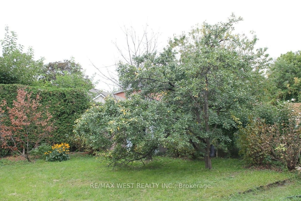 Main-14 Treeview Drive, Toronto, ON, N0B 2N0 - 13