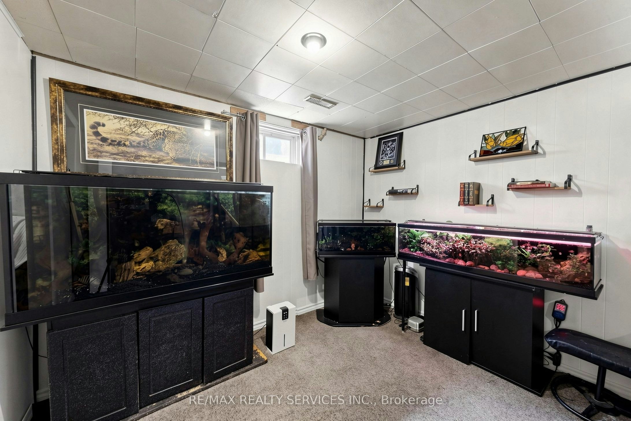 54 Griselda Crescent, Brampton, ON, L6S 1M3 - 34