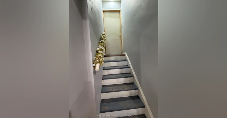 Basement-38 Carter Drive, Brampton, ON, L6V 3N5 - 3