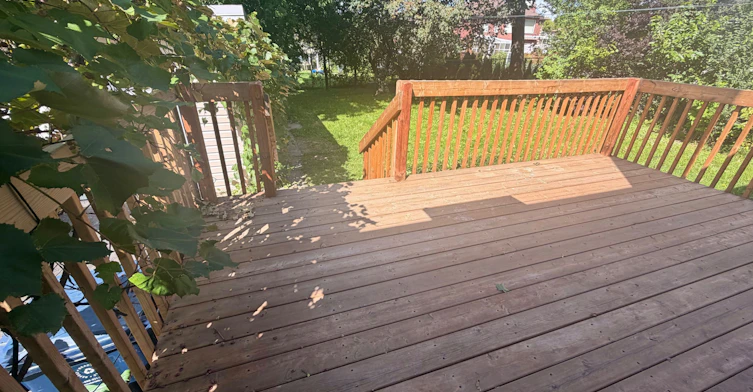 26 Compton Crescent, Toronto, ON, M3M 2C2 - 24