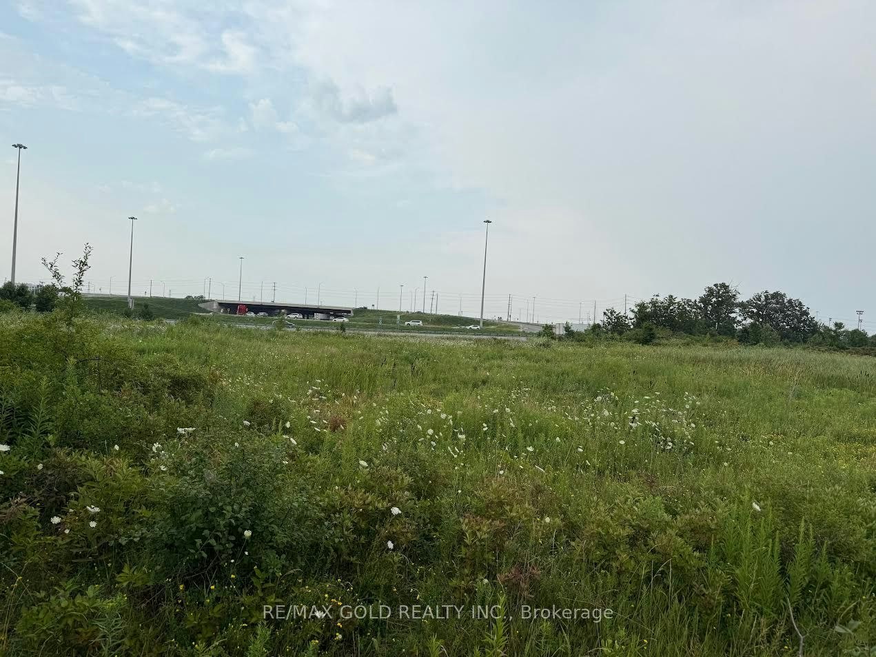 141 Chisholm Drive, Milton, ON, L9T 4A6