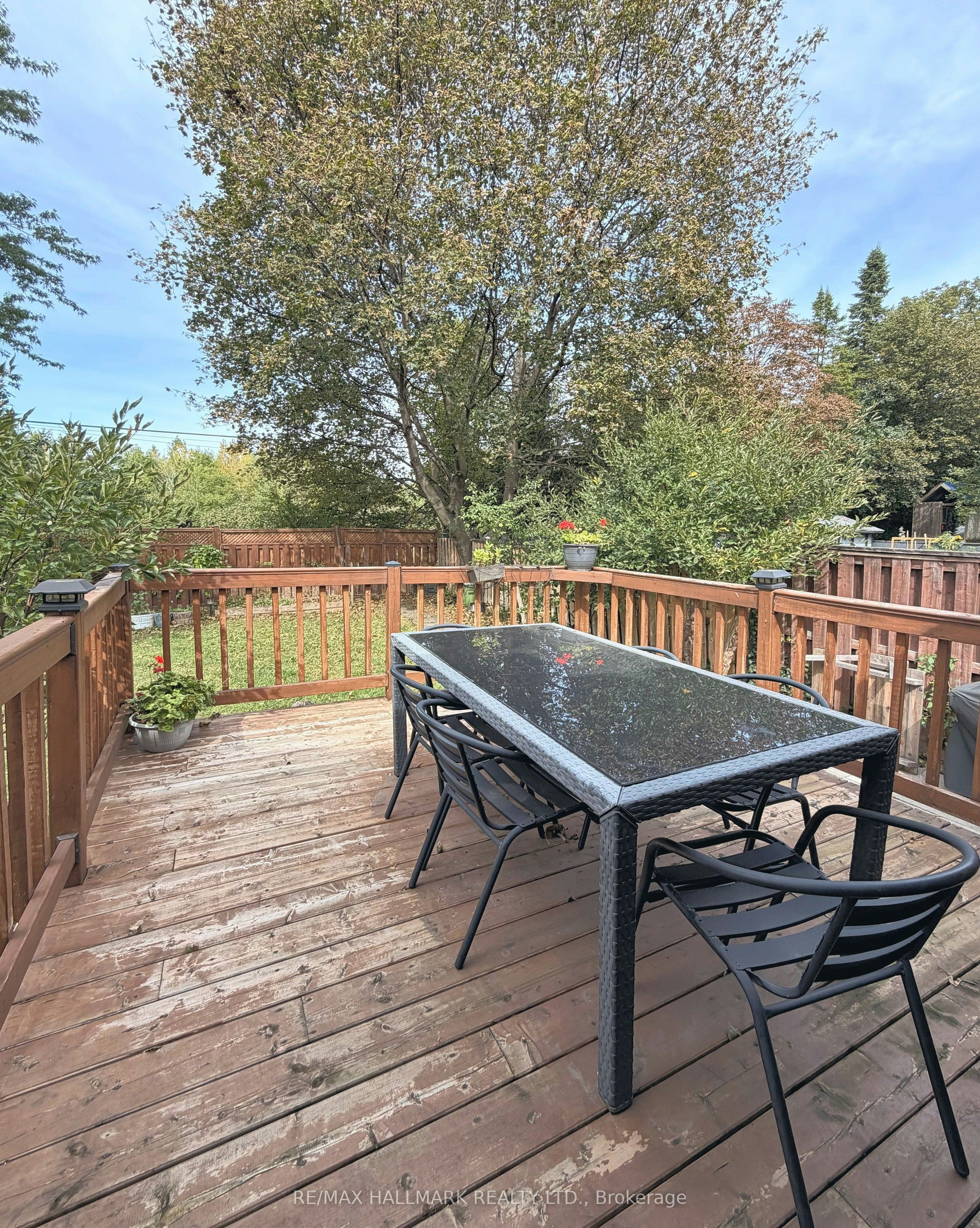 24 Sabine Road, Toronto, ON, M9B 3A8 - 28