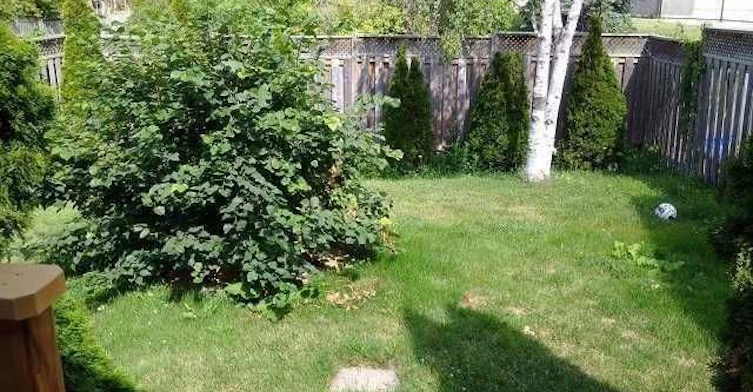 1537 Cuthbert Avenue, Mississauga, ON, L5M 3R6 - 24