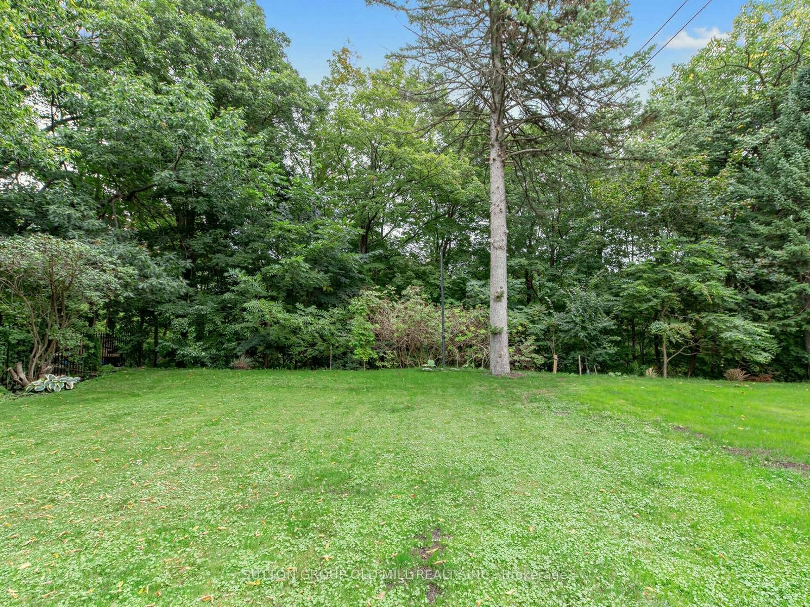 Main-9 Westbank Crescent, Toronto, ON, M9P 1S4 - 30
