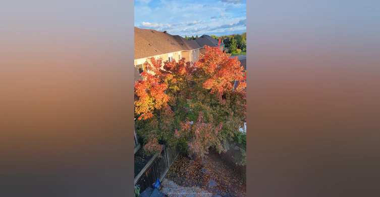 410 Fairgate Way, Oakville, ON, L6H 6Y1 - 36