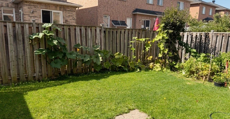 4 Butterchurn Road, Brampton, ON, L6X 4V1 - 19