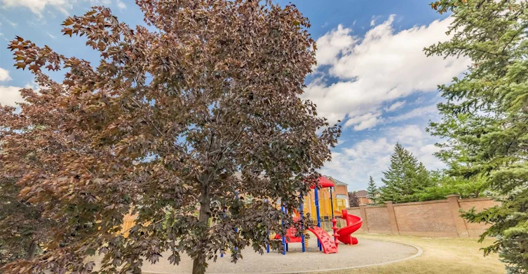 84-271 Richvale Drive S, Brampton, ON, L6Z 4W6 - 39