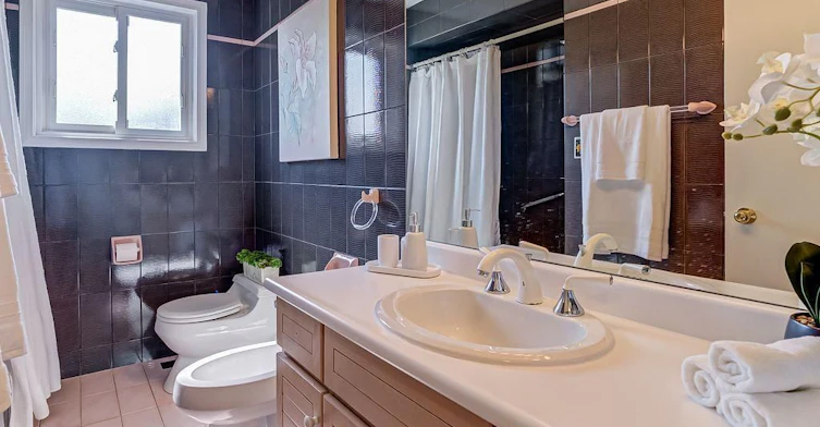 Lower-55 Tedder Street, Toronto, ON, M6M 4X2 - 19