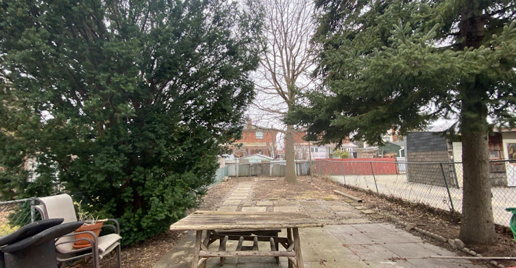Room 2-344 Bartlett Avenue N, Toronto, ON, M6H 3G7 - 12