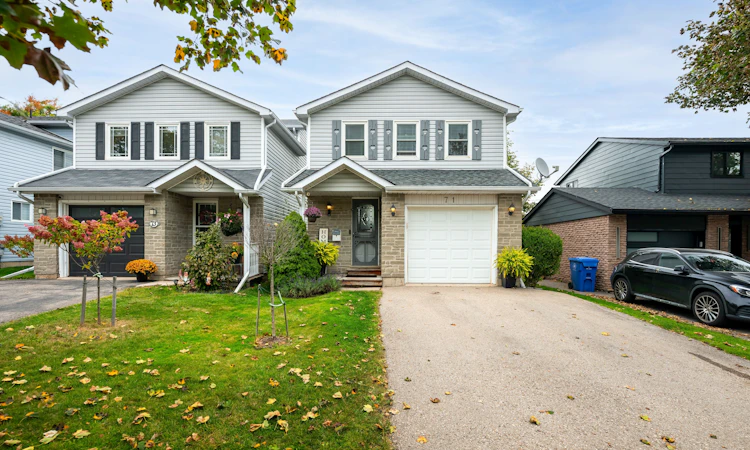 71 Shirley Street
