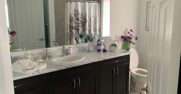 828 Aspen Terrace, Milton, ON, L9E 1S2 - 24