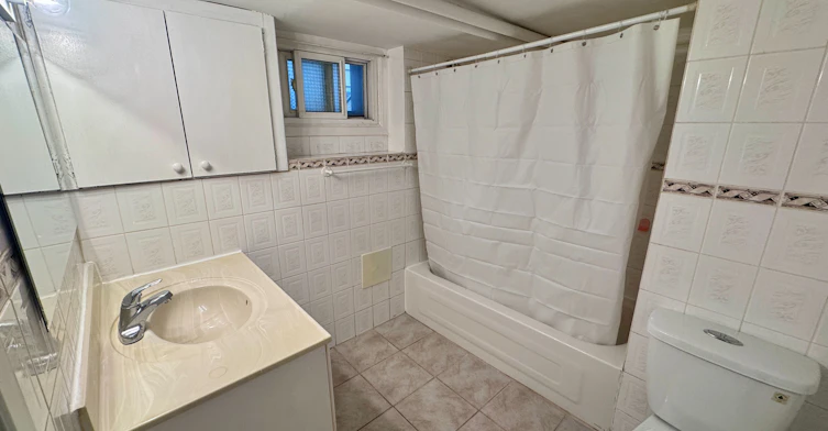 Lower-415 Delaware Avenue, Toronto, ON, M6H 2V1 - 5