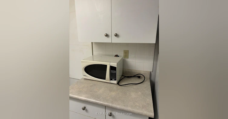 Lower Level - Bsmnt Only-5243 Heatherleigh Avenue, Mississauga, ON, L5V 2A1 - 10