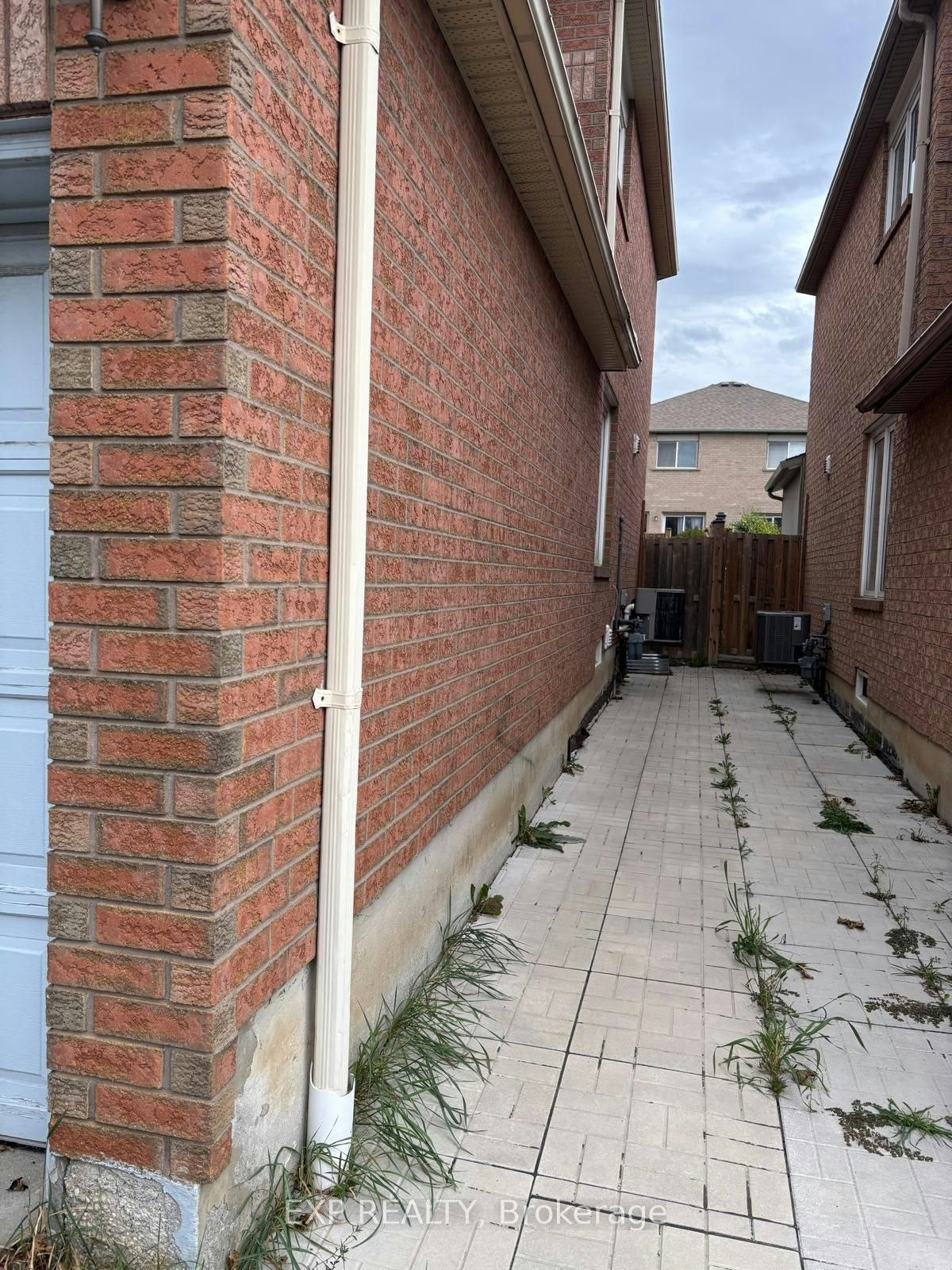 Lower Level - Bsmnt Only-5243 Heatherleigh Avenue, Mississauga, ON, L5V 2A1 - 2