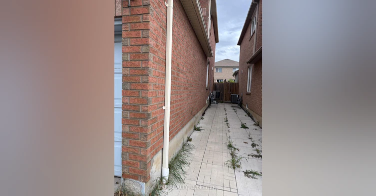 Lower Level - Bsmnt Only-5243 Heatherleigh Avenue, Mississauga, ON, L5V 2A1 - 2